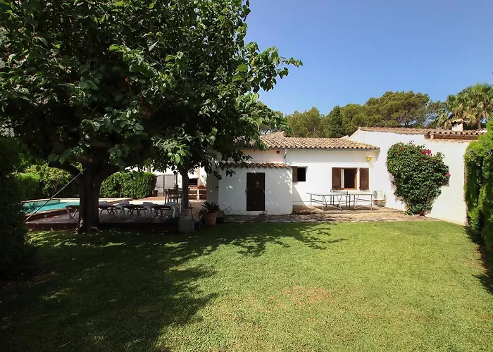 Provenzal Petit - Provenza