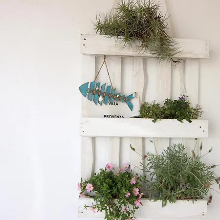 Villa Provenzal Petit - Provenza Port de Pollenca