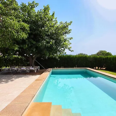 Provenzal Petit - Provenza * Port de Pollenca