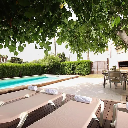 Provenzal Petit - Provenza Port de Pollenca