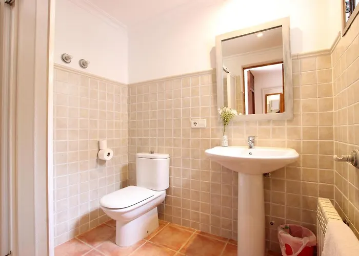 Provenzal Petit - Provenza Port de Pollença