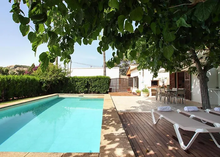 Provenzal Petit - Provenza