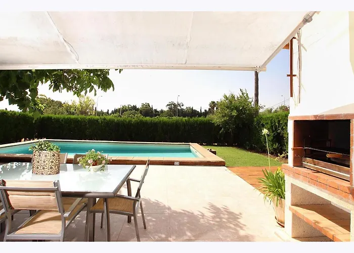 Provenzal Petit - Provenza * Port de Pollenca