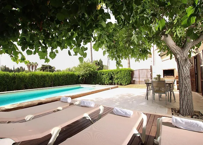 Provenzal Petit - Provenza Port de Pollenca