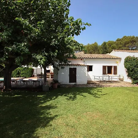 Provenzal Petit - Provenza