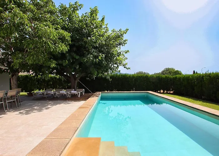 Provenzal Petit - Provenza * Поланко